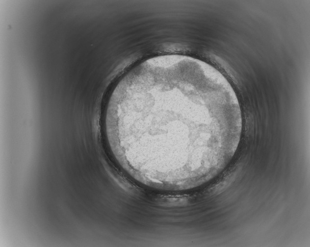 X0000111600443200908271012