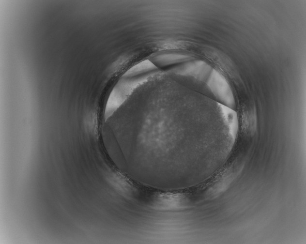 X0000111600444200908271012