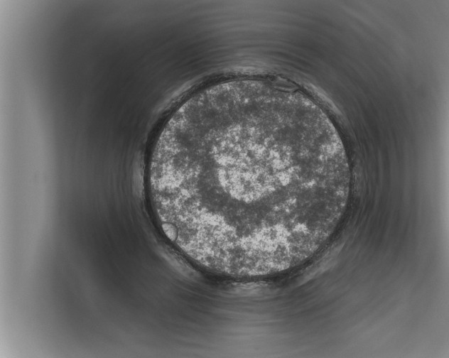 X0000111600446200908271012