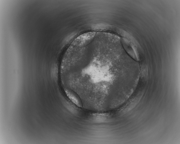 X0000111600448200908271012