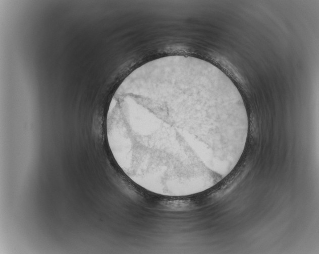 X0000111600449200908271012
