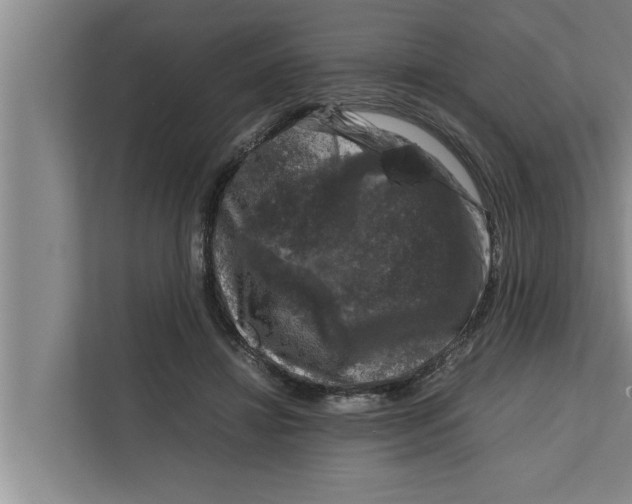 X0000111600452200908271012