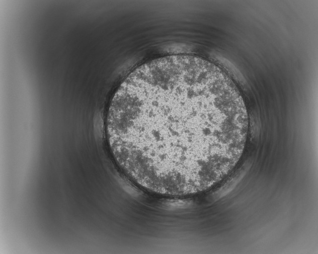 X0000111600453200908271012