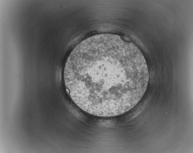 X0000111600454200908271012