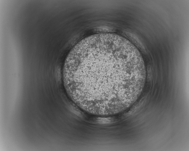 X0000111600457200908271012