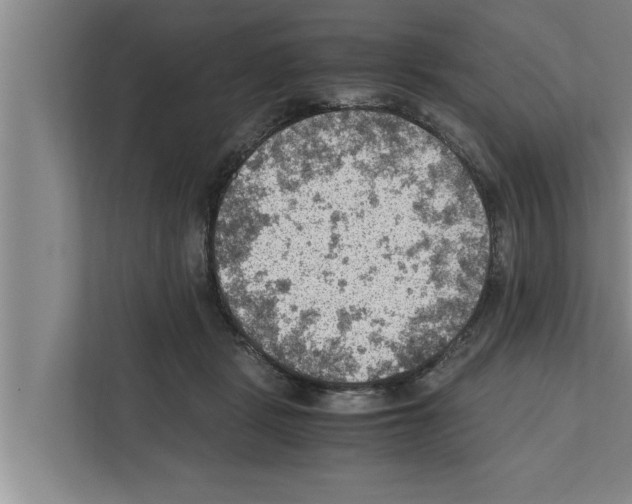 X0000111600461200908271012
