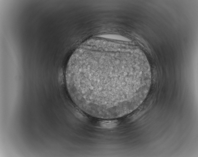 X0000111600465200908271012