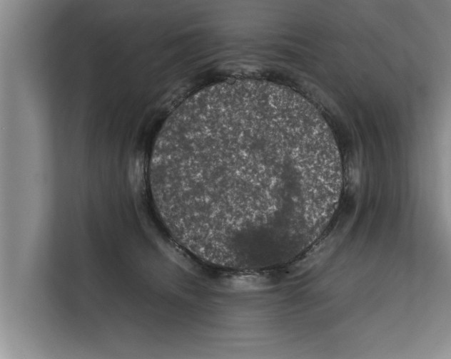 X0000111600468200908271012