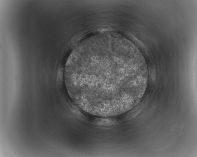 X0000111600475200908271012