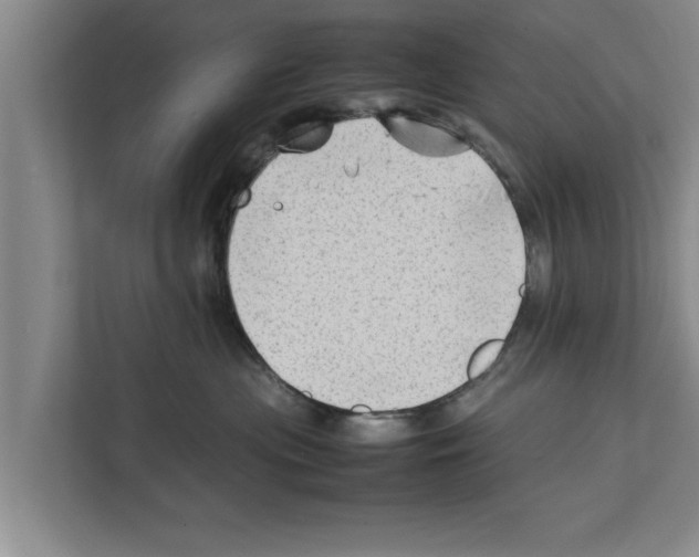 X0000111600477200908271012