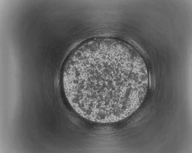 X0000111600483200908271012