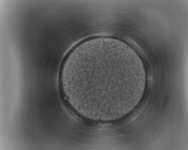 X0000111600484200908271012