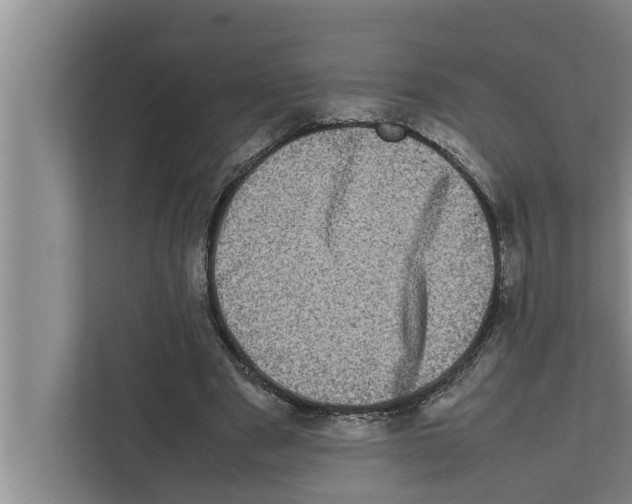 X0000111600489200908271012