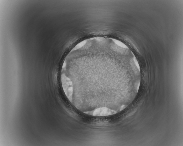 X0000111600491200908271012