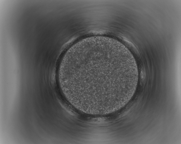 X0000111600492200908271012