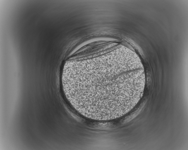 X0000111600493200908271012