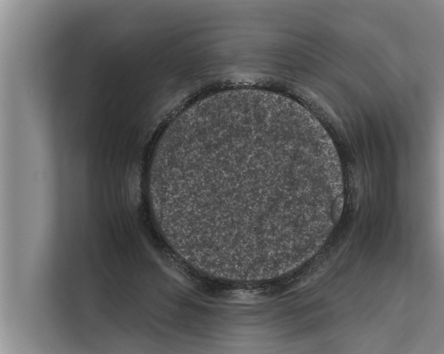 X0000111600496200908271011