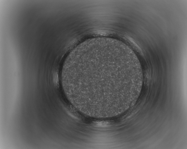 X0000111600500200908271011