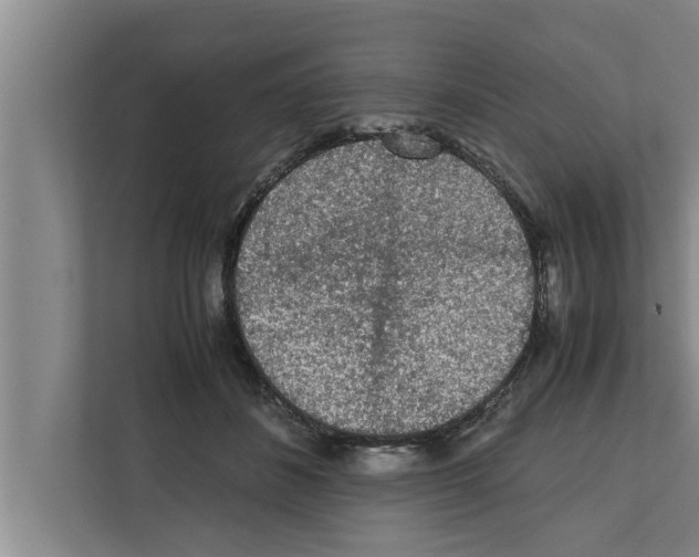 X0000111600508200908271011