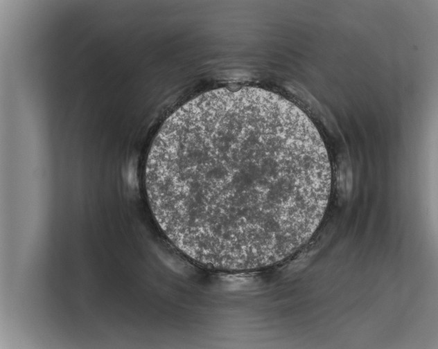 X0000111600516200908271011