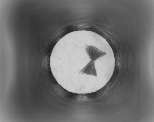 X0000111600519200908271011
