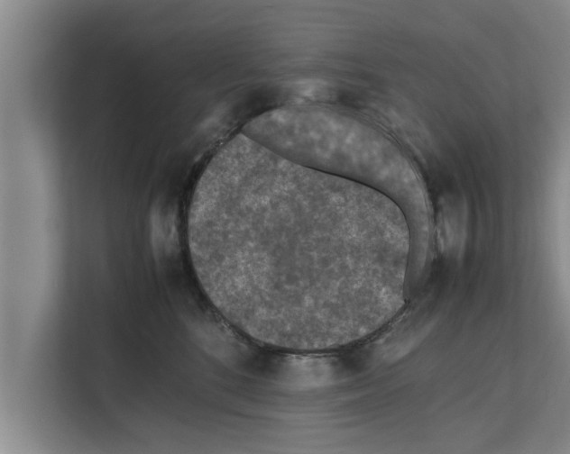 X0000111600520200908271011