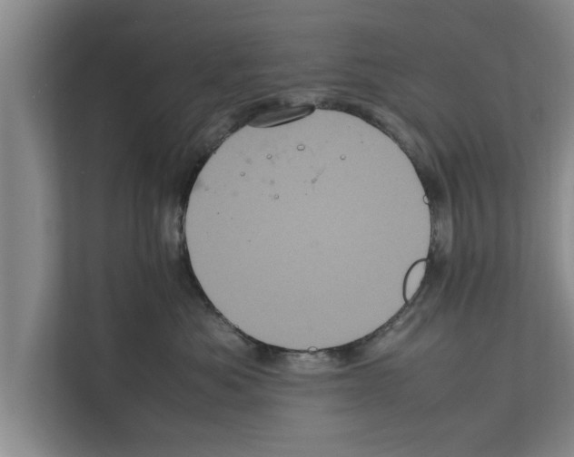X0000111600525200908271011