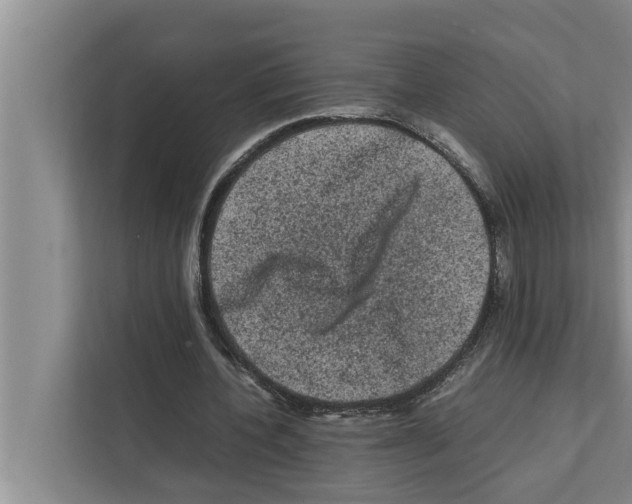 X0000111600532200908271010