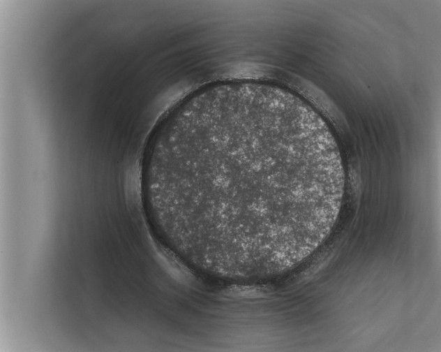X0000111600534200908271011