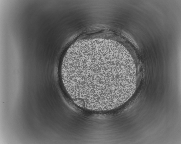 X0000111600538200908271011