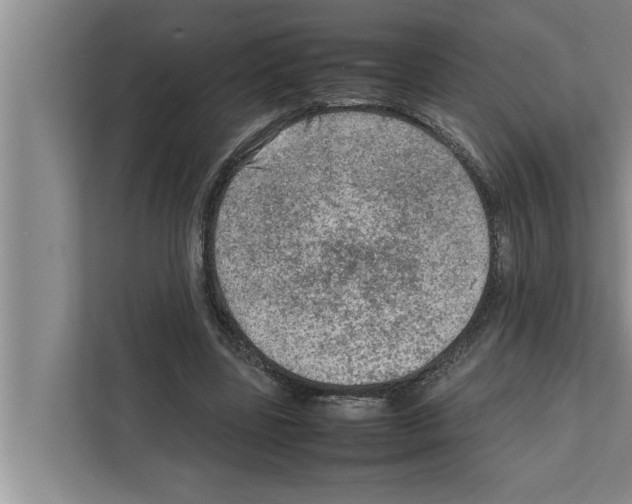 X0000111600539200908271011