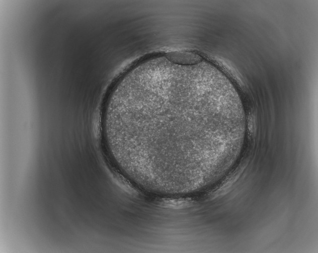 X0000111600540200908271011