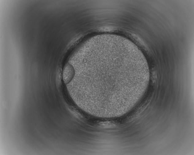 X0000111600544200908271011