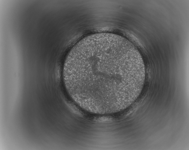 X0000111600546200908271011