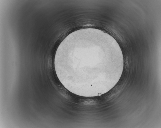 X0000111600547200908271011