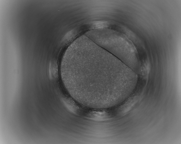 X0000111600552200908271011