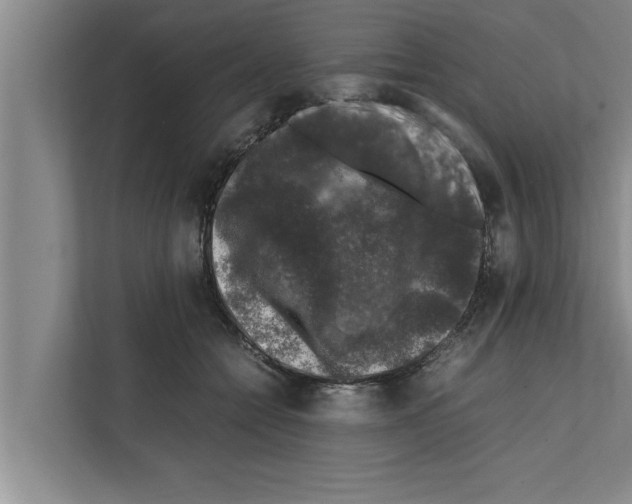 X0000111600558200908271011