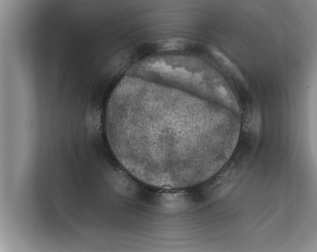 X0000111600560200908271011