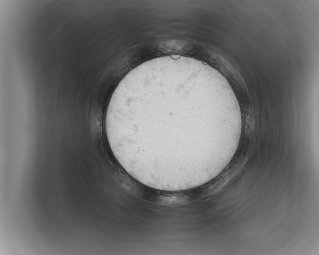 X0000111600561200908271011