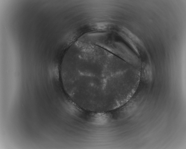 X0000111600562200908271011