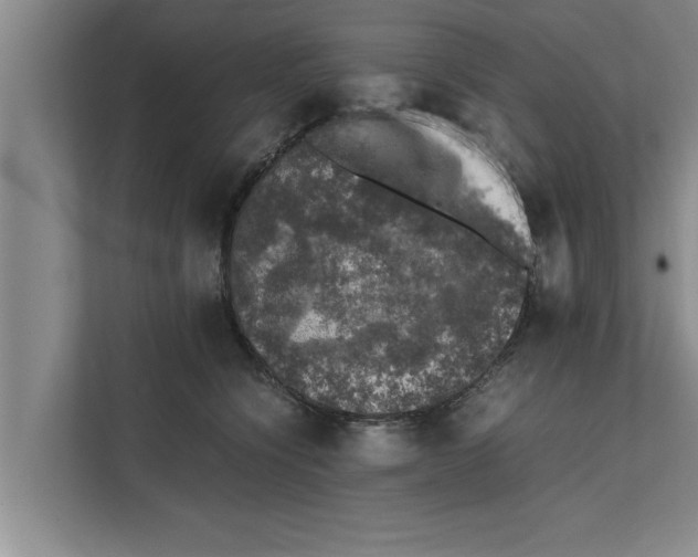 X0000111600564200908271011