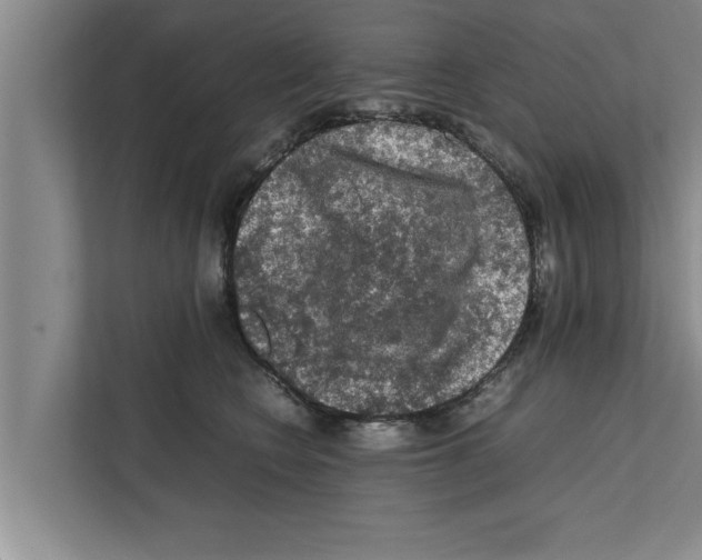 X0000111600566200908271011