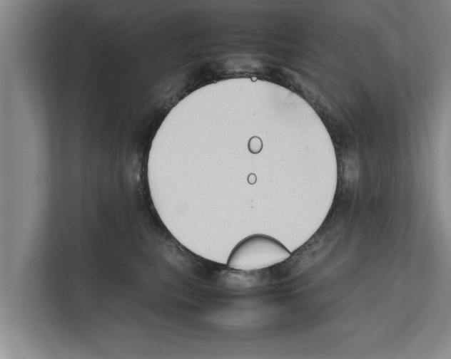 X0000111600567200908271011
