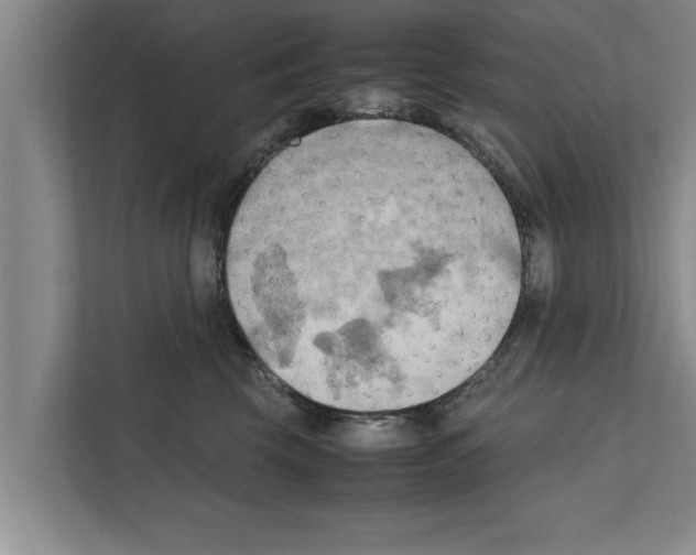 X0000111600569200908271011