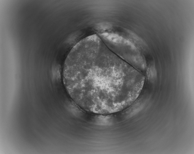 X0000111600570200908271011