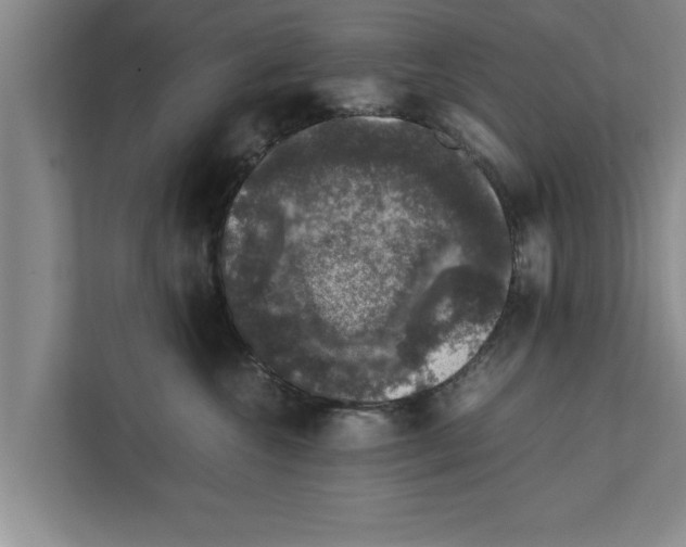 X0000111600572200908271011