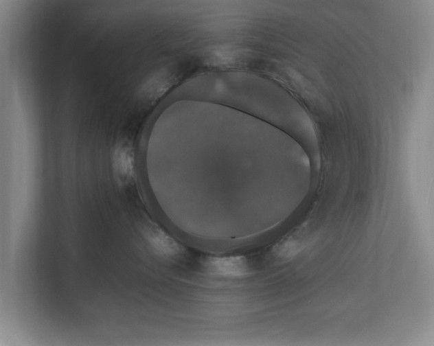 X0000111600576200908271011
