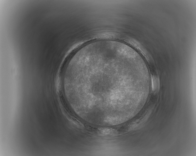 X0000111600579200908271010