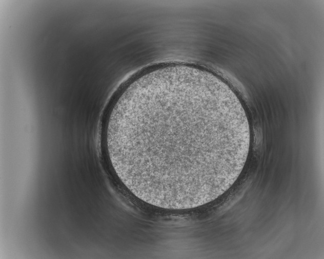 X0000111600580200908271010