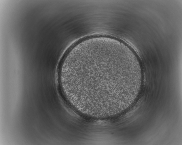 X0000111600584200908271010